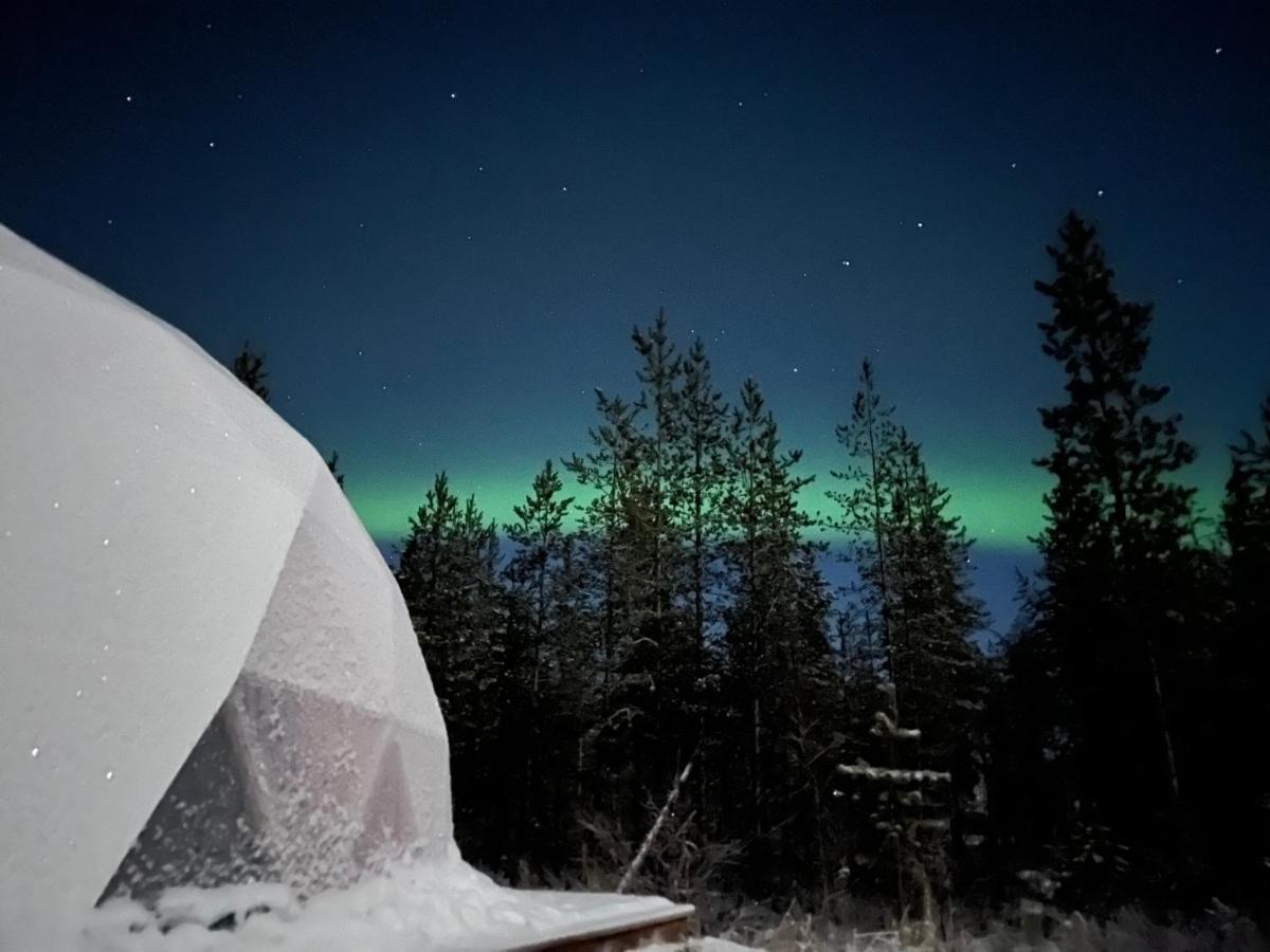 Aurora Igloo Fireplace-Heated Tents In A Secret Forest With Private Jacuzzi And Shared Sauna Bathroom And Dog Friendly Rovaniemi Exterior photo