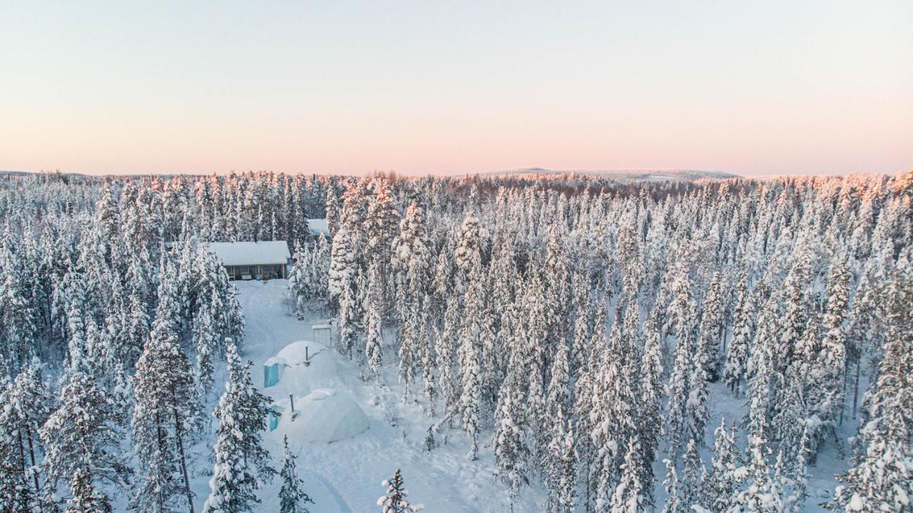 Aurora Igloo Fireplace-Heated Tents In A Secret Forest With Private Jacuzzi And Shared Sauna Bathroom And Dog Friendly Rovaniemi Exterior photo