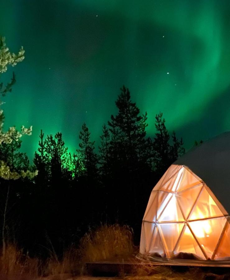 Aurora Igloo Fireplace-Heated Tents In A Secret Forest With Private Jacuzzi And Shared Sauna Bathroom And Dog Friendly Rovaniemi Exterior photo