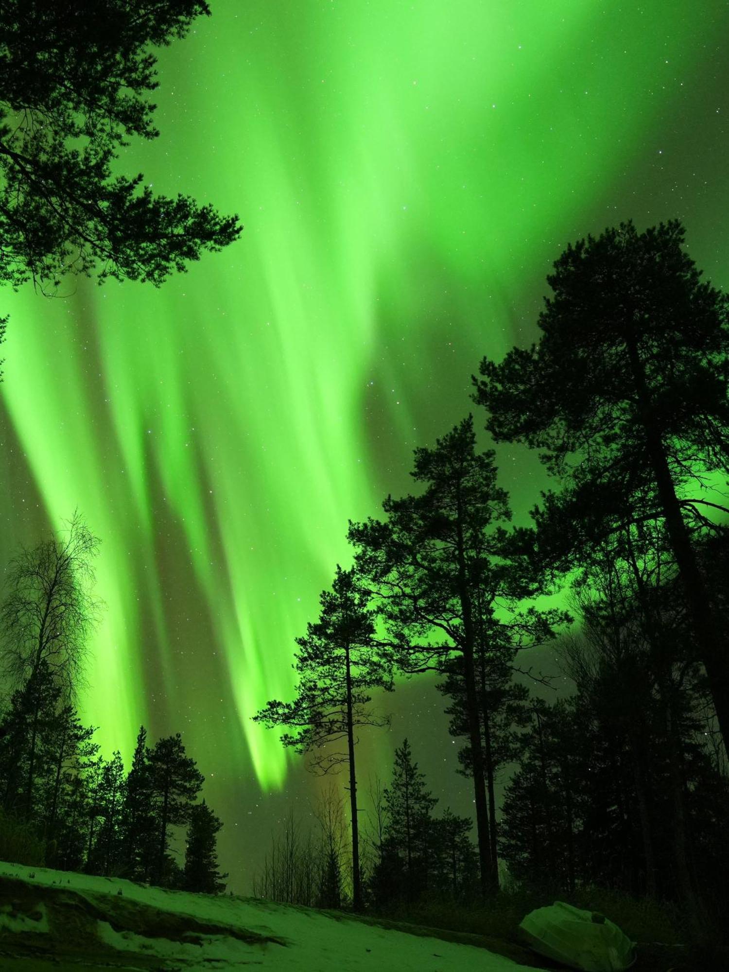 Aurora Igloo Fireplace-Heated Tents In A Secret Forest With Private Jacuzzi And Shared Sauna Bathroom And Dog Friendly Rovaniemi Exterior photo