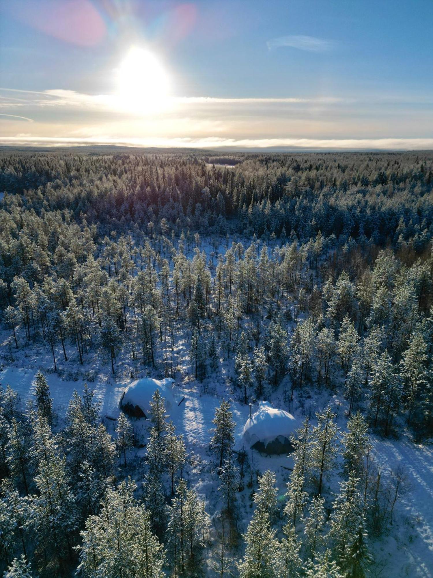 Aurora Igloo Fireplace-Heated Tents In A Secret Forest With Private Jacuzzi And Shared Sauna Bathroom And Dog Friendly Rovaniemi Exterior photo